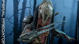 Hot Toys Feral Predator 016