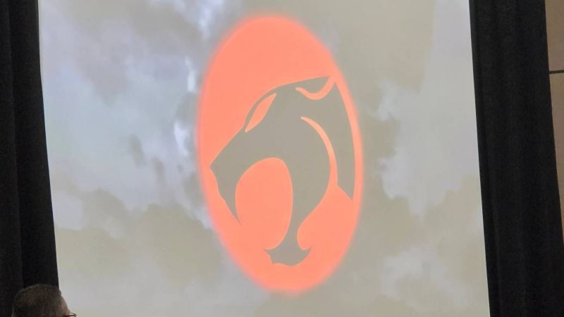 MOTU x Thundercats