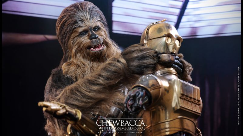 Hot Toys Chewbacca and C 3PO 017