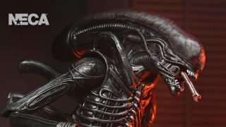 NECA Xenomorph XX121 012