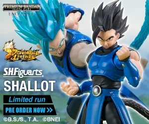 Premium Bandai