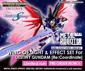 Premium Bandai