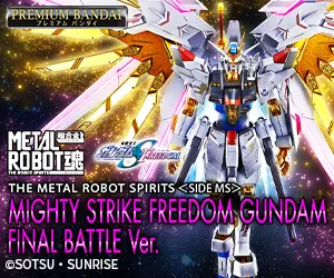 Premium Bandai