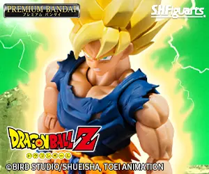 Premium Bandai