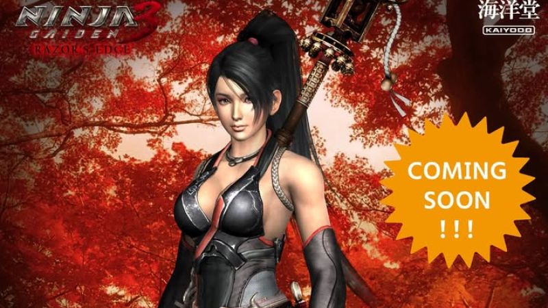 Revoltech Momiji Announced