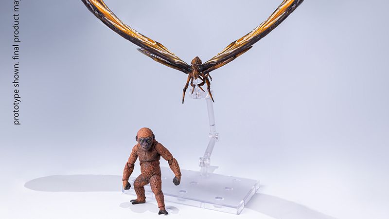 Hiya Mothra and Suko 006